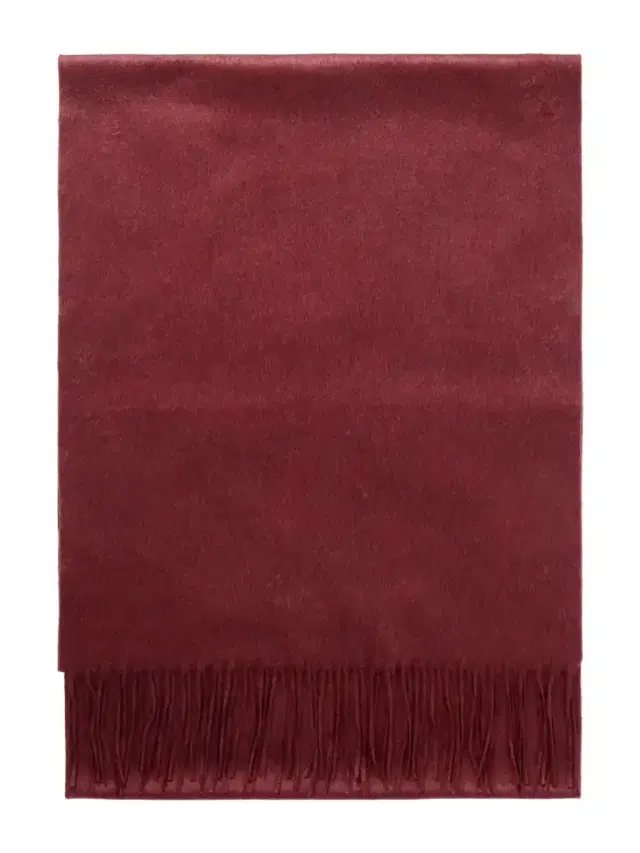 Gabriela Hearst Blaine Fringed Silk And Cashmere-blend Scarf