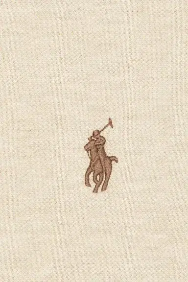 Polo Ralph Lauren Mesh Polo | Thumbnail 5