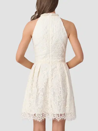 Shoshanna Women's Cooper Lace Embellished-Neck Mini Dress - | Thumbnail 3