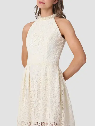 Shoshanna Women's Cooper Lace Embellished-Neck Mini Dress - | Thumbnail 4