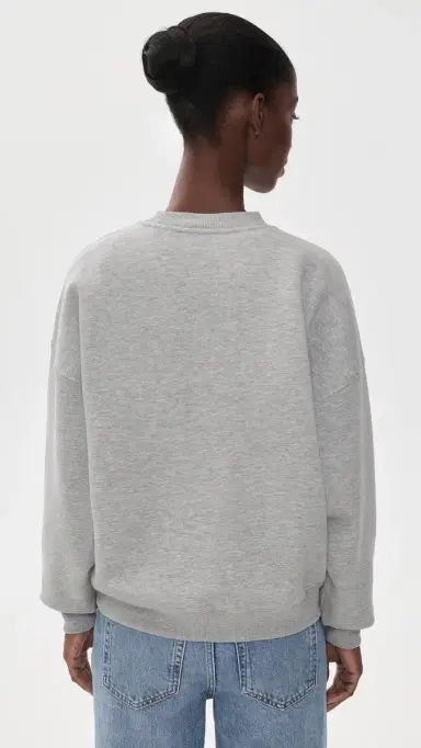 Anine Bing Miles Collegiate Sweatshirt | Thumbnail 3
