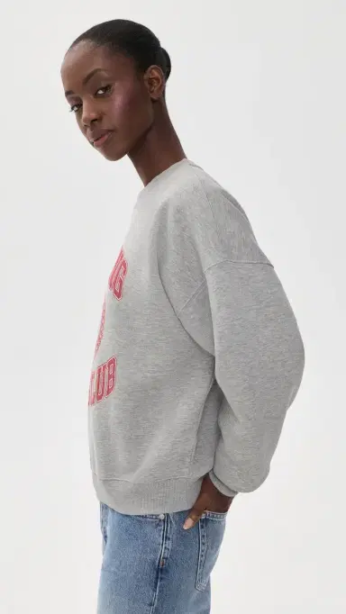 Anine Bing Miles Collegiate Sweatshirt | Thumbnail 4