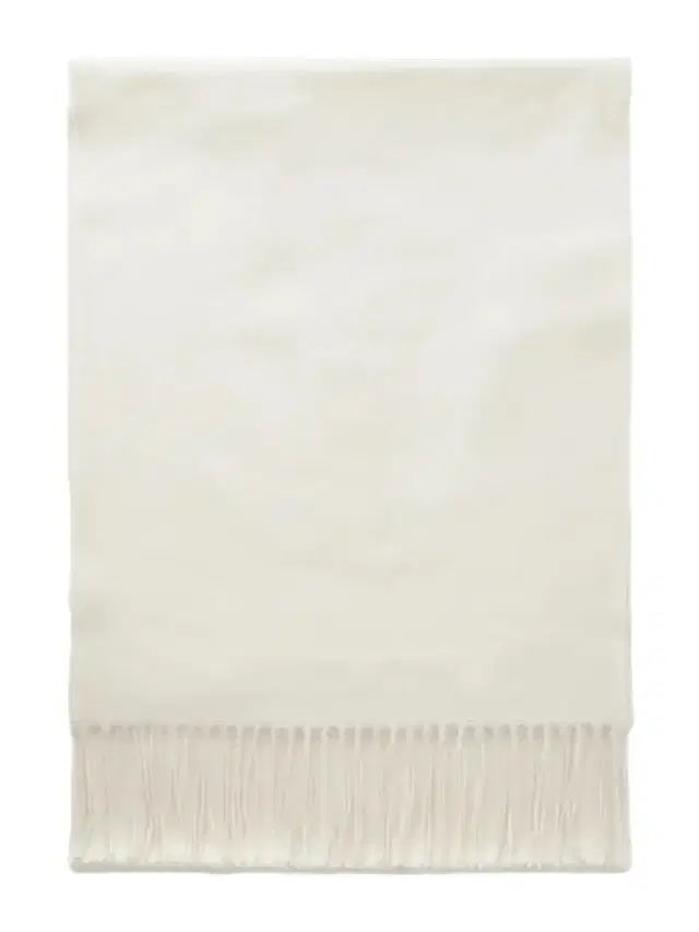 Gabriela Hearst Blaine Fringed Silk And Cashmere-blend Scarf