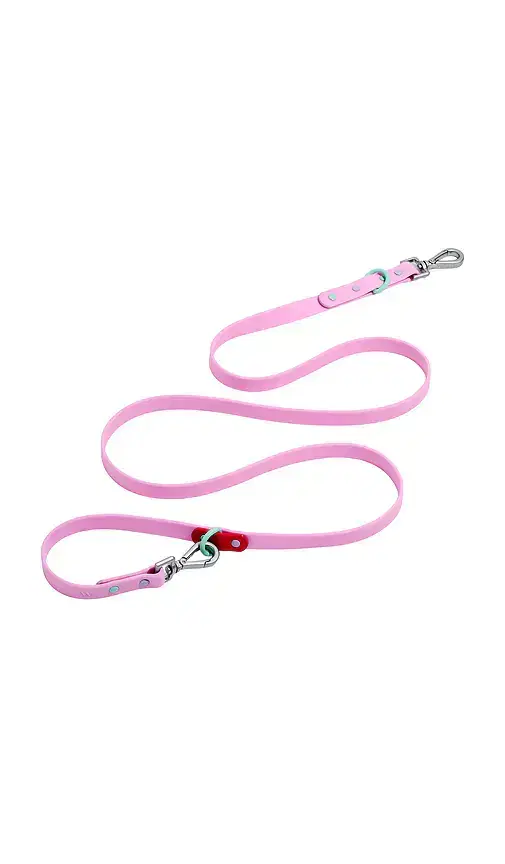 Wild One Small Leash