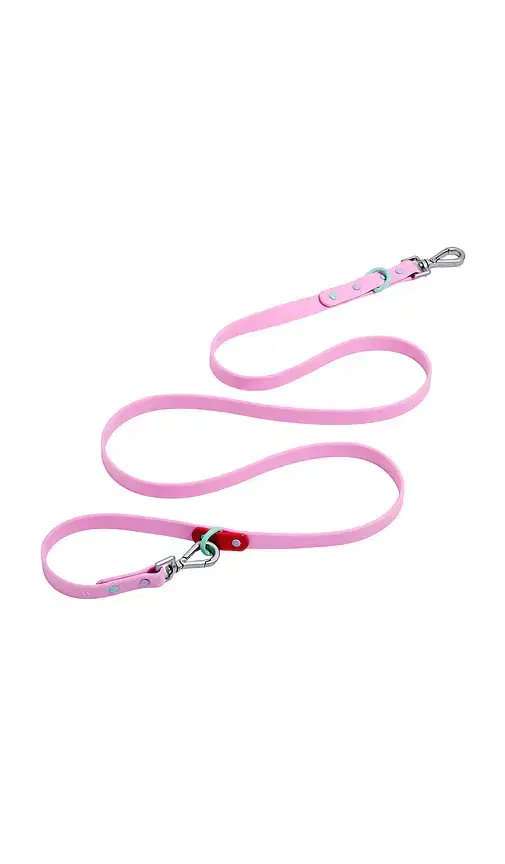Wild One Standard Leash