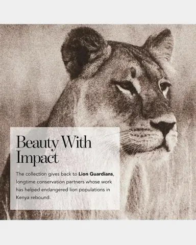 CHANTECAILLE Marti Eye Shade Eyeshadow | Thumbnail 10 CHANTECAILLE Marti Eye Shade Eyeshadow | Thumbnail 10