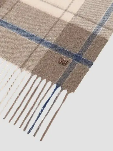 Weekend Max Mara Women's Cashmere Scarf - Brown | Thumbnail 2