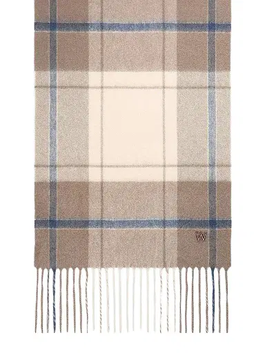 Weekend Max Mara Women's Cashmere Scarf - Brown | Thumbnail 1