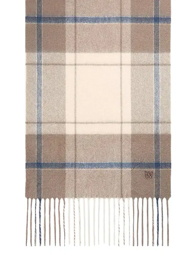 Weekend Max Mara Women's Cashmere Scarf - Brown