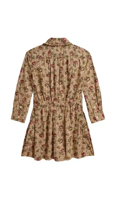 Polo Ralph Lauren Kids Long-sleeve Poplin Floral Printed Collared Dress | Thumbnail 2