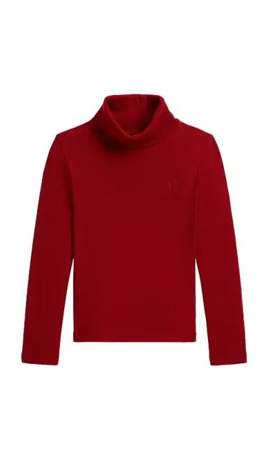 Polo Ralph Lauren Kids Long Sleeve Cotton Turtleneck Pullover | Thumbnail 1