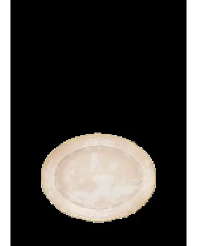 GINORI 1735 Mer Printed Porcelain Platter | Thumbnail 2