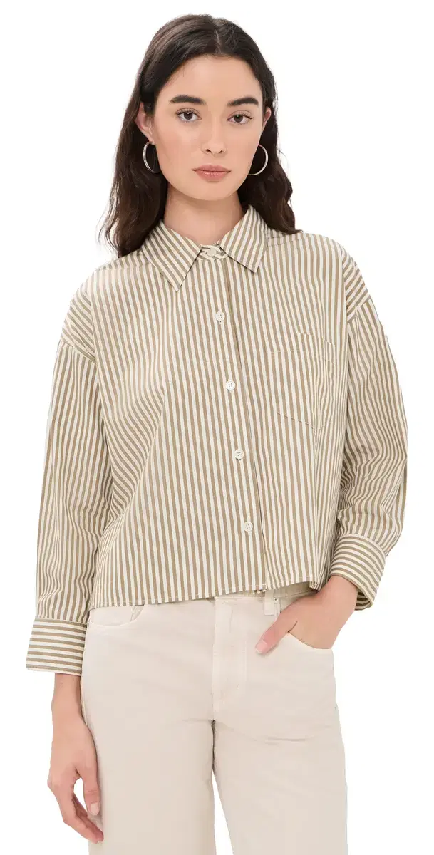 Citizens of Humanity Petit Ami Button Down andatlas tripe