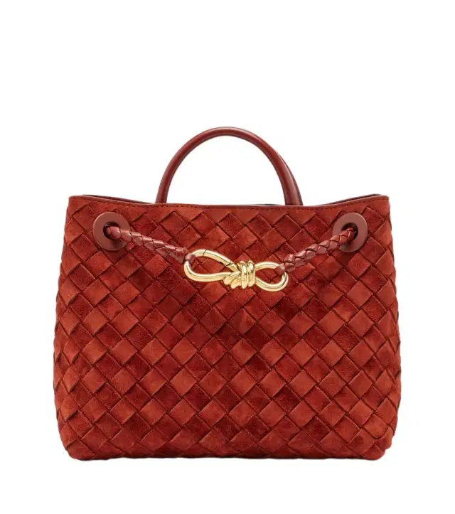 Bottega Veneta Andiamo Small suede top-handle bag