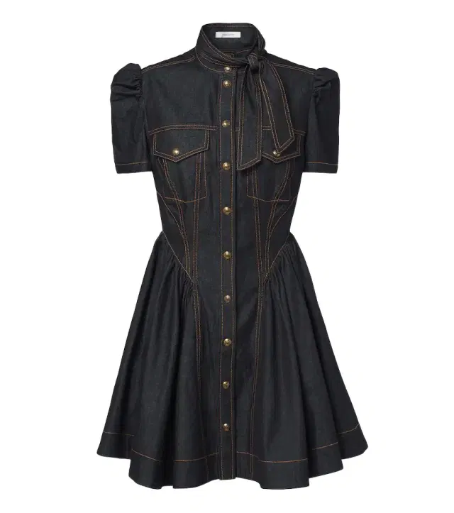 Zimmermann Denim shirtdress