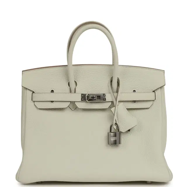 HERMÈS Hermes Birkin 25 Mushroom Togo Palladium Hardware