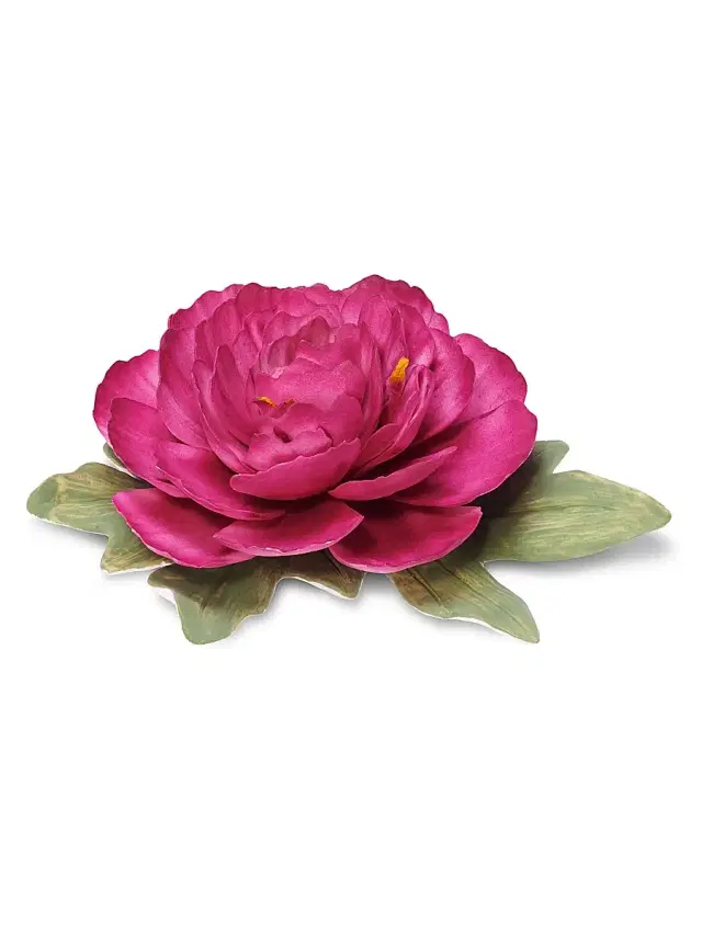 AERIN Introduction Bloom Porcelain Flower - Berry
