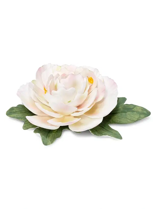 AERIN Introduction Bloom Porcelain Flower - Pale Pink
