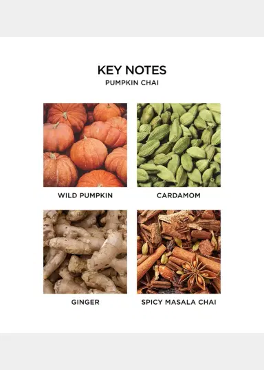 NEST New York 43.7 oz. Pumpkin Chai Candle | Thumbnail 4