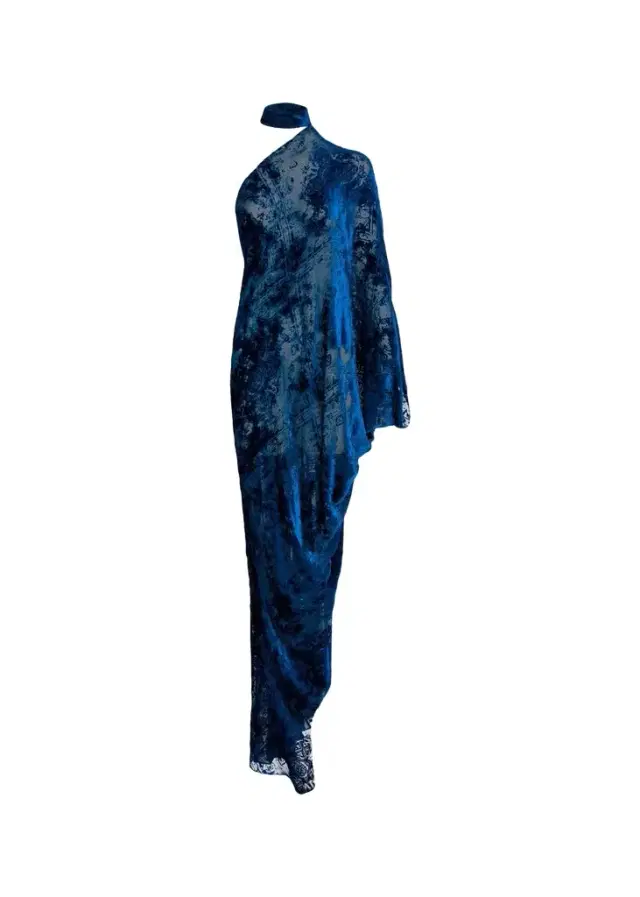 Silvia Tcherassi Anya Mock-Neck Asymmetric Velvet Burnout Maxi Dress