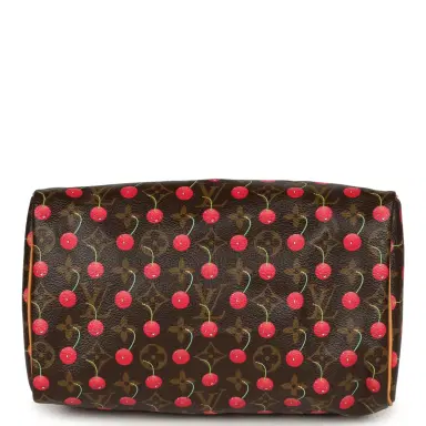 Louis Vuitton Vintage Louis Vuitton x Takashi Murkami Cheries Speedy 25 Brown and Red Cherry Monogram Gold Hardware | Thumbnail 7