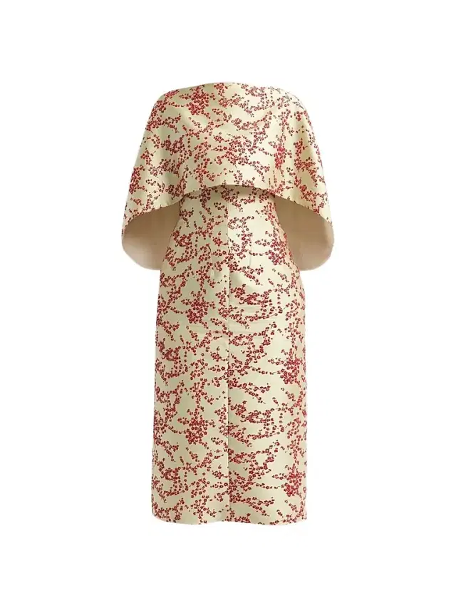 Alberta Ferretti Women's Radzmir Floral Flocked Capelet Midi Cocktail Dress