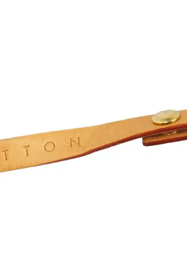 Louis Vuitton Louis Vuitton Monogram Florentine Pochette Belt Bag | Thumbnail 8