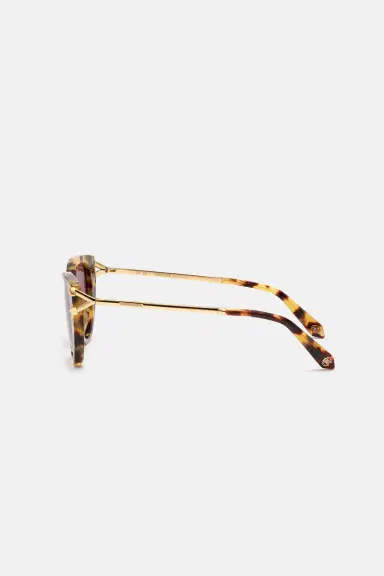 Roberto Cavalli Sunglasses Roberto Cavalli Fang Collection | Thumbnail 3