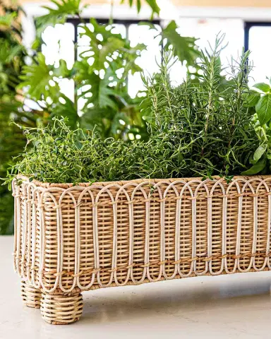 Juliska Provence Rattan Rectangular Planter | Thumbnail 3