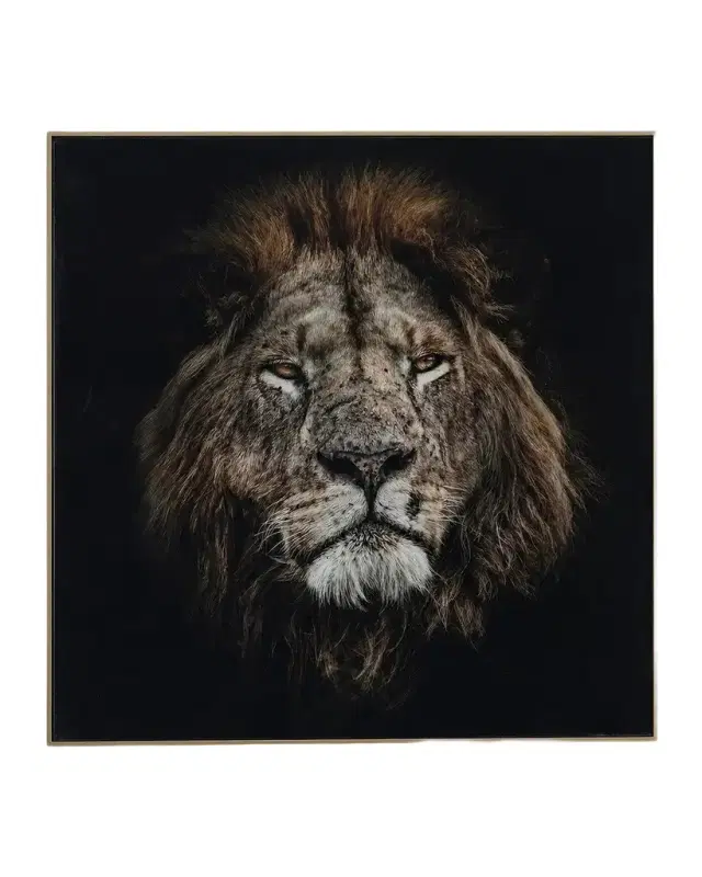 John-Richard Collection "Mufasa" Framed Photo Print by Rodney Bursiel