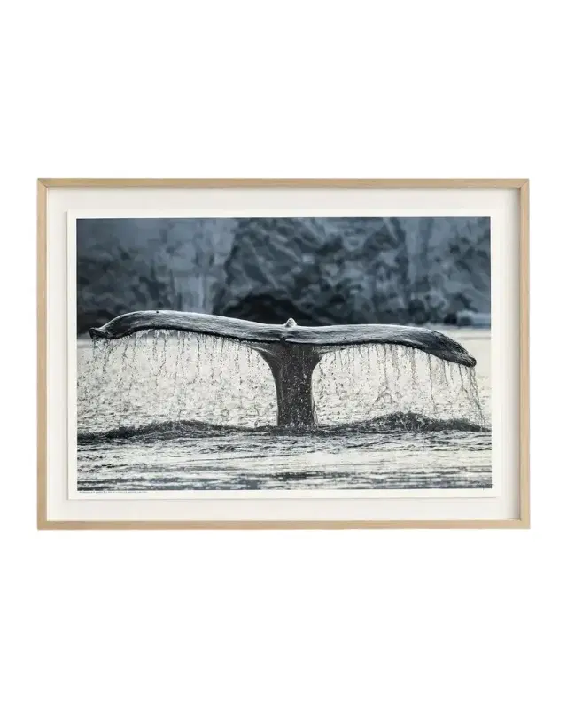 John-Richard Collection "Whale of a Tale" Framed Photo Print by Rodney Bursiel