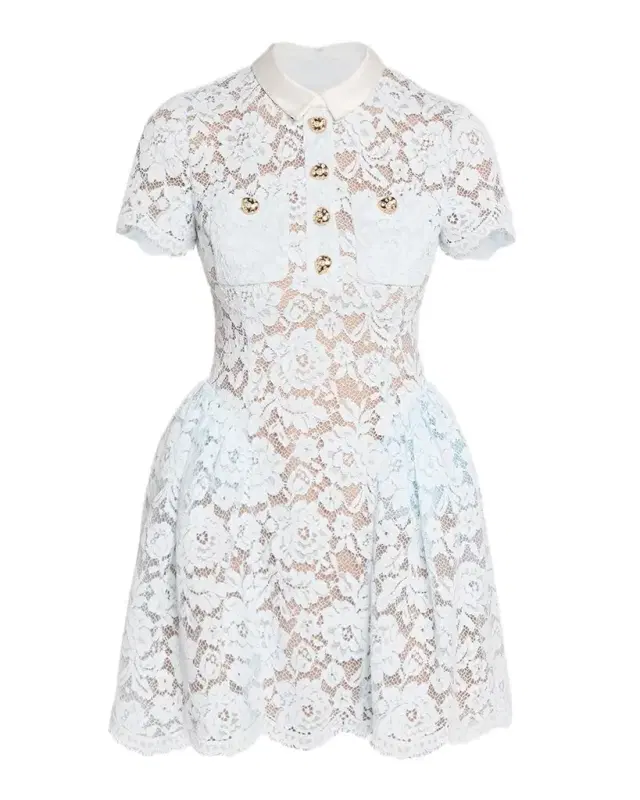 Self-Portrait Lace Fit & Flare Mini Dress