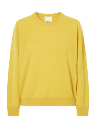 Allude Cashmere Sweater | Thumbnail 1