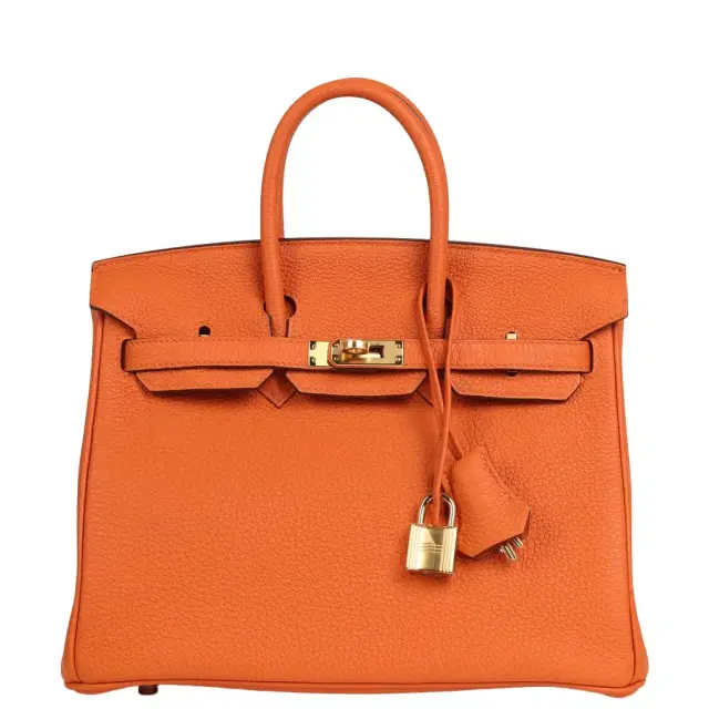 Hermes Birkin 25 Orange Togo Gold Hardware