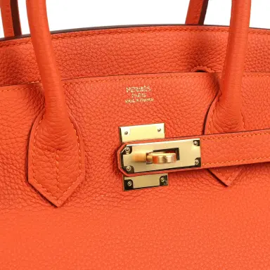 HERMÈS Hermes Birkin 30 Feu Togo Gold Hardware | Thumbnail 7
