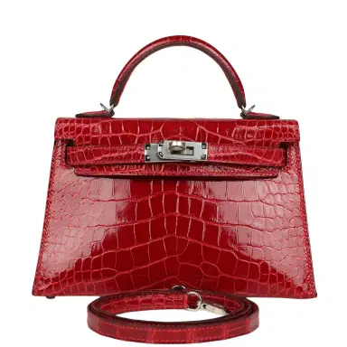 HERMÈS Hermes Kelly Sellier 20 Braise Shiny Alligator Palladium Hardware | Thumbnail 1