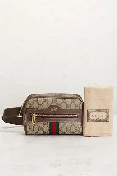 Gucci Ophidia Belt Bag | Thumbnail 9