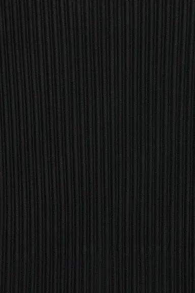 Homme Plissé Issey Miyake Tailored Pleats 1 Blouson | Thumbnail 5