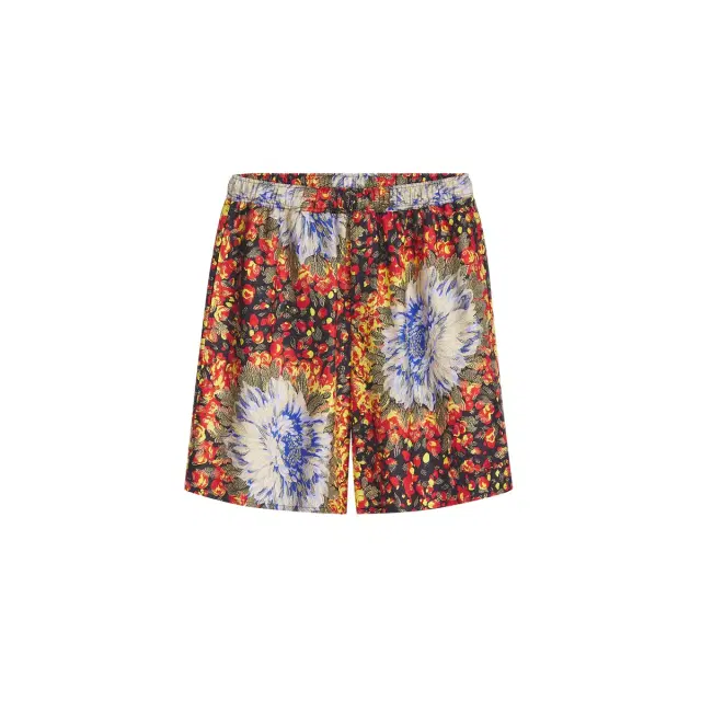 Dior Dior Byzance Shorts