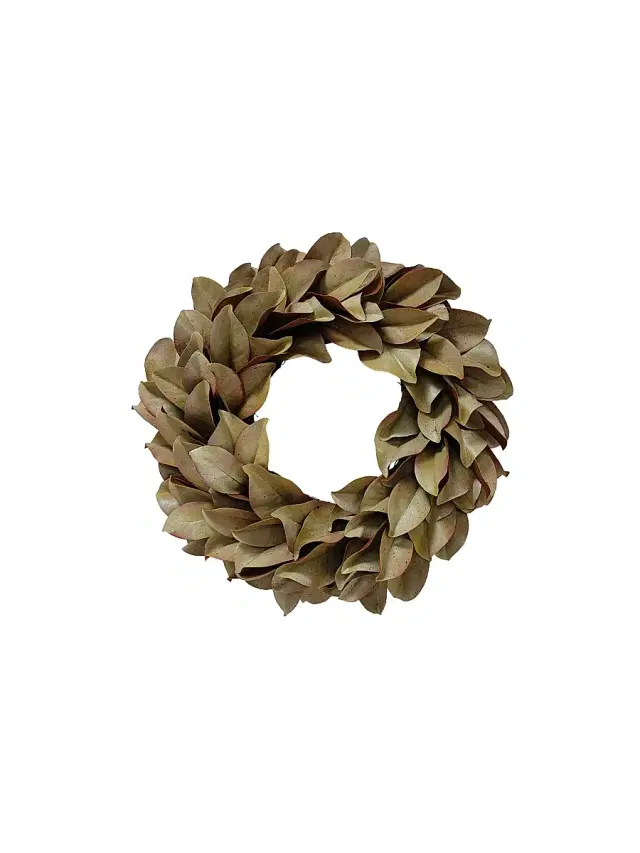 Winward Home Artificial Dry Magnolia Leaf Wreath