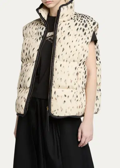 Moncler Rayonnant Down-Fill Puffer Vest Jacket | Thumbnail 5