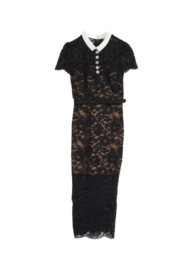 Self-Portrait Lace Contrast Collar Midi Dress