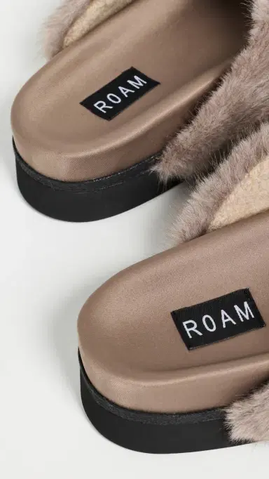 ROAM Cloud Slides | Thumbnail 4