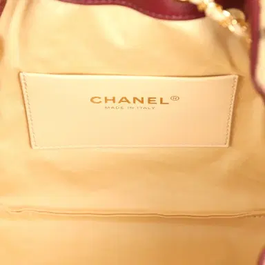 Chanel Chanel Mini 25 Hobo Bag "Cheetah Print" Calf Hair Gold Hardware | Thumbnail 8