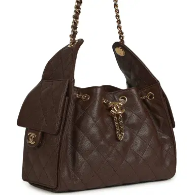 Chanel Chanel Small 25 Hobo Bag Dark Brown Caviar Gold Hardware | Thumbnail 2