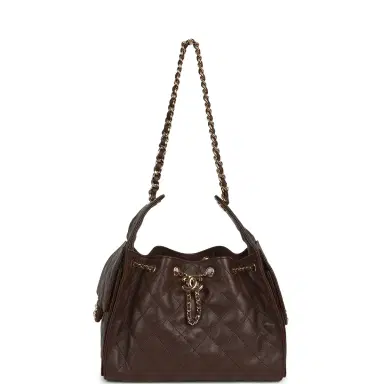 Chanel Chanel Small 25 Hobo Bag Dark Brown Caviar Gold Hardware | Thumbnail 6