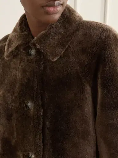 Yves Salomon Shearling Coat | Thumbnail 5
