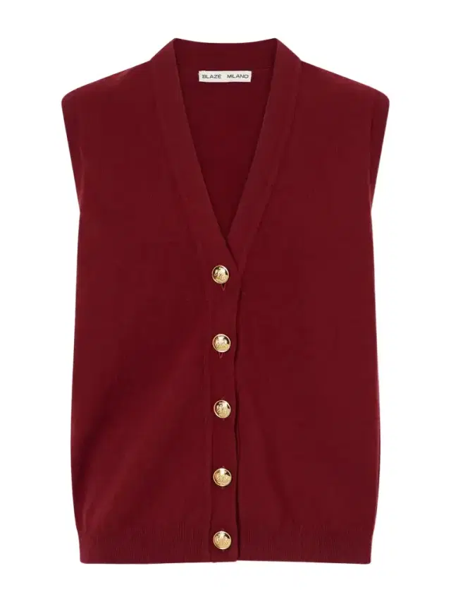 Blazé Milano Highland Wool And Cashmere-blend Vest