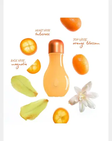 Ripple Home FOCUS Essential Oil Fragrance Drops | Thumbnail 3