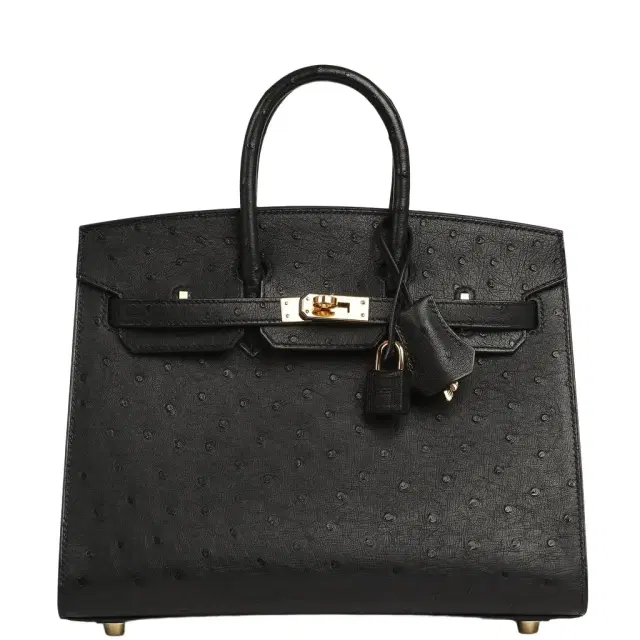 HERMÈS Hermes Birkin Sellier 25 Black Ostrich Gold Hardware
